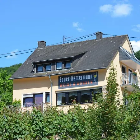 Вилла Weingut Sauer-Kettermann Энкирх Экстерьер фото