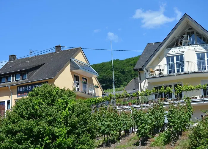 Weingut Sauer-Kettermann