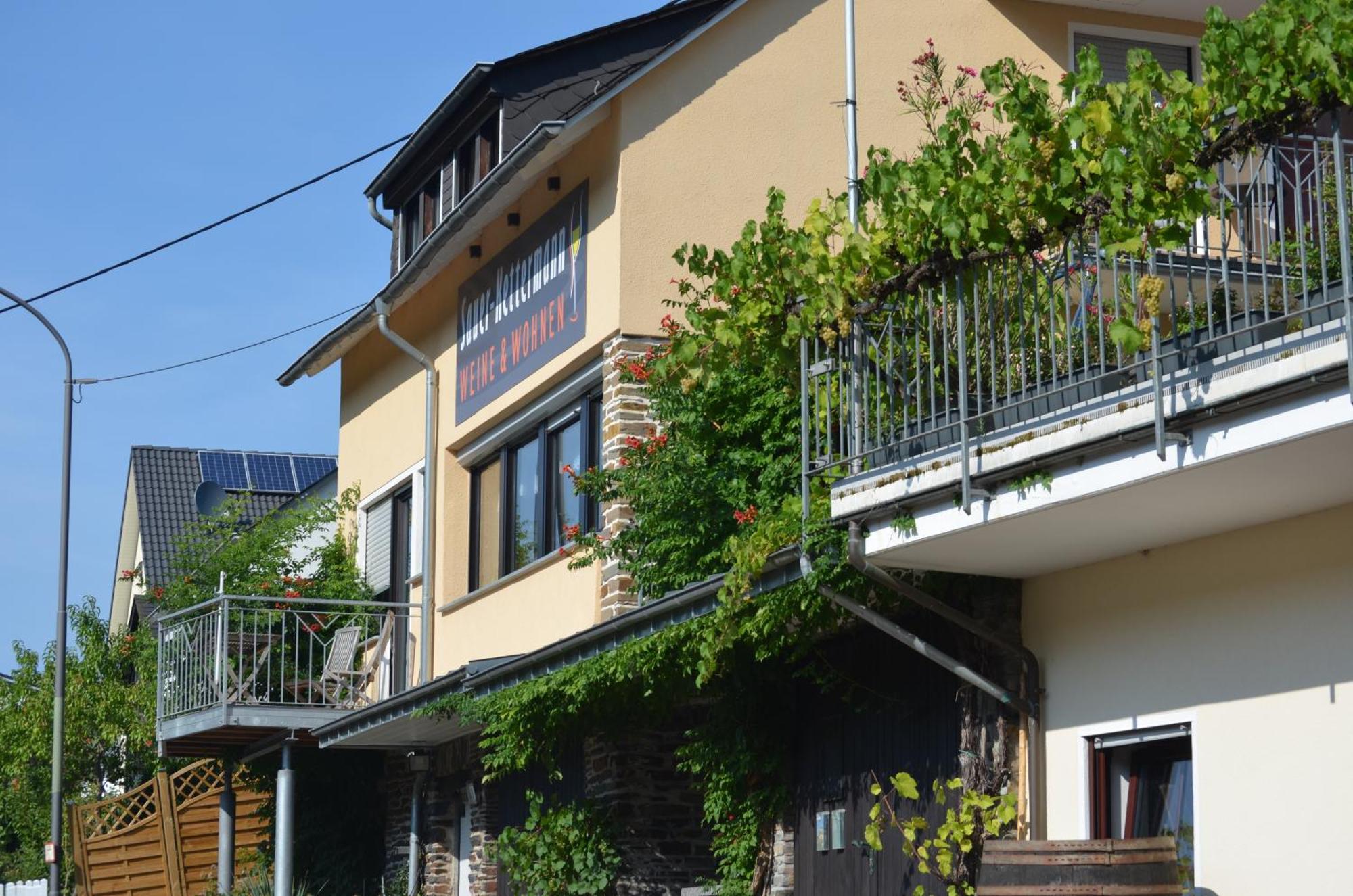 Weingut Sauer-kettermann