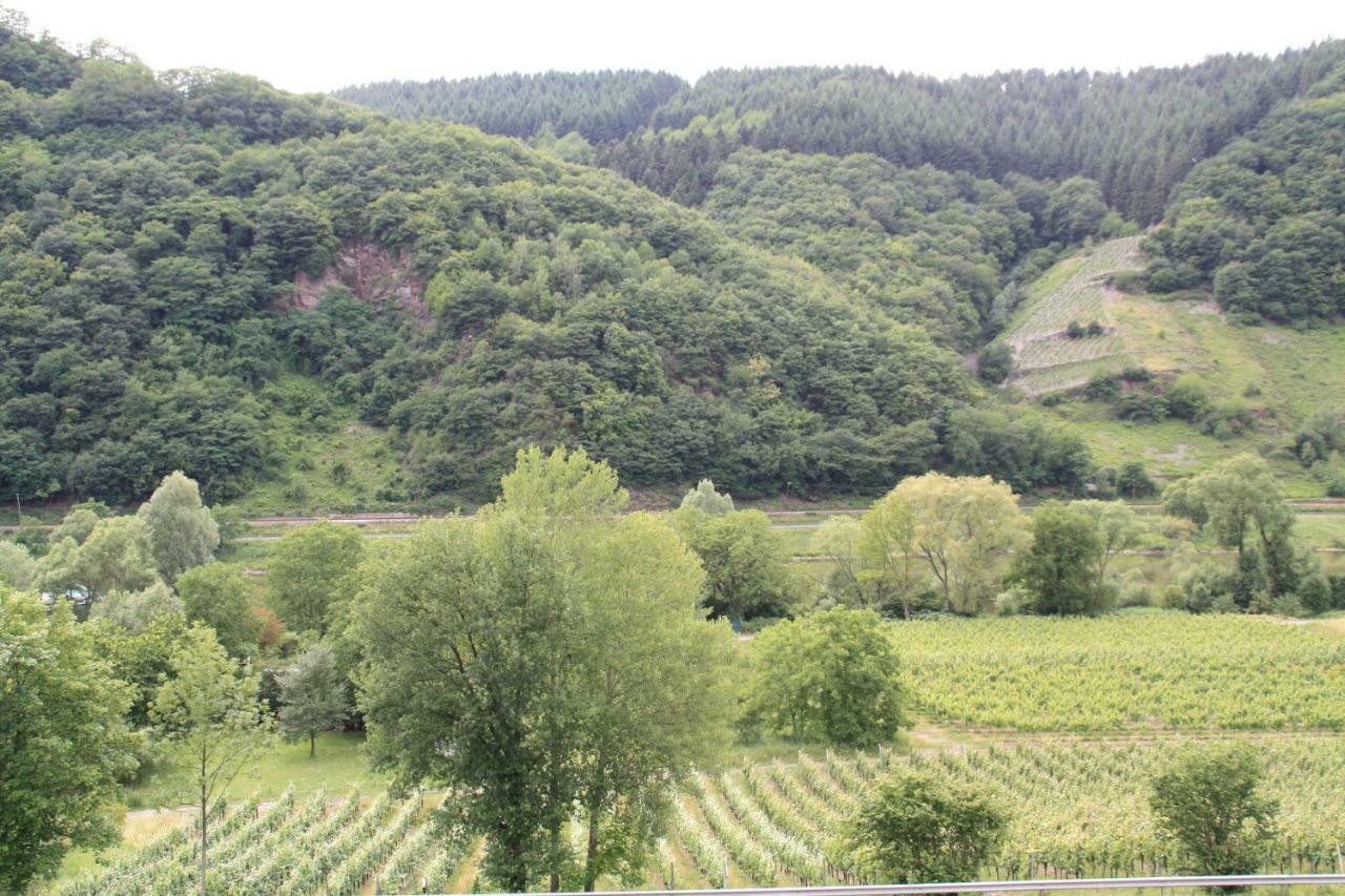 Weingut Sauer-kettermann * Enkirch
