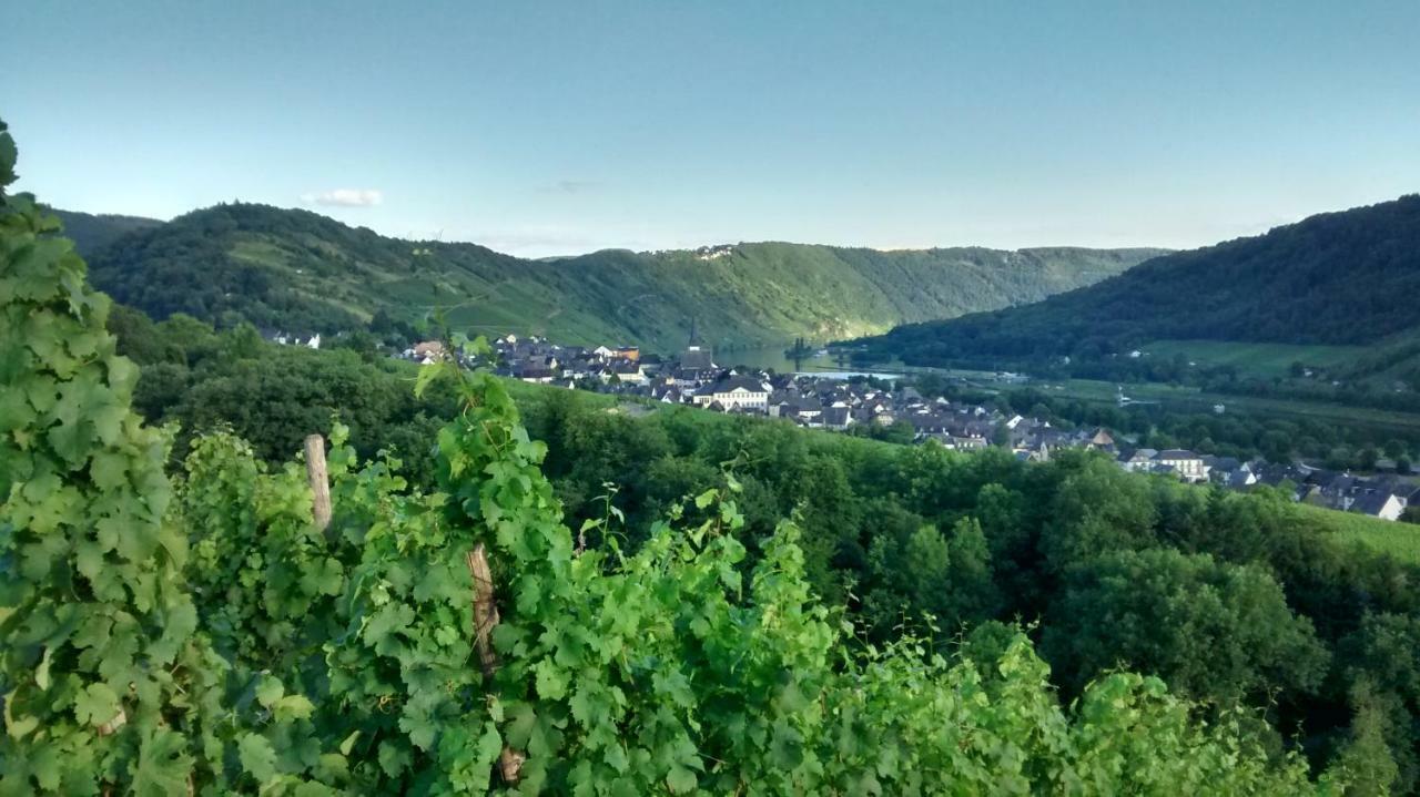 Weingut Sauer-kettermann *