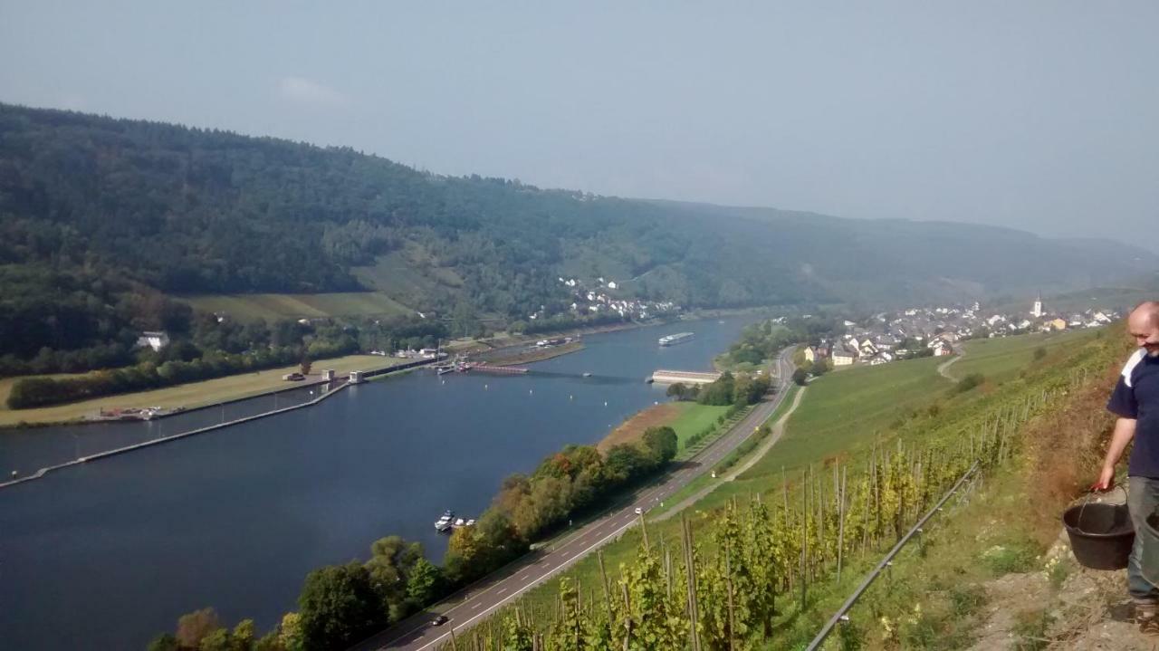 Weingut Sauer-kettermann