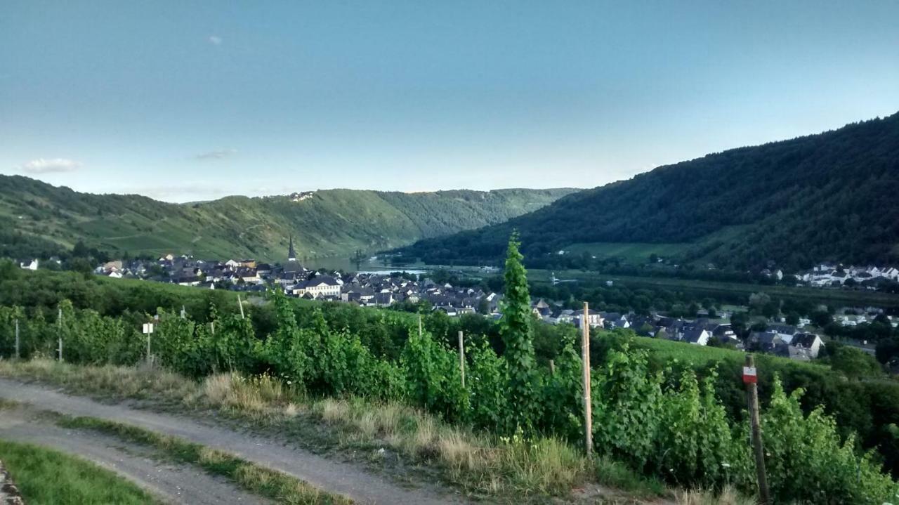 Weingut Sauer-kettermann Holiday home *