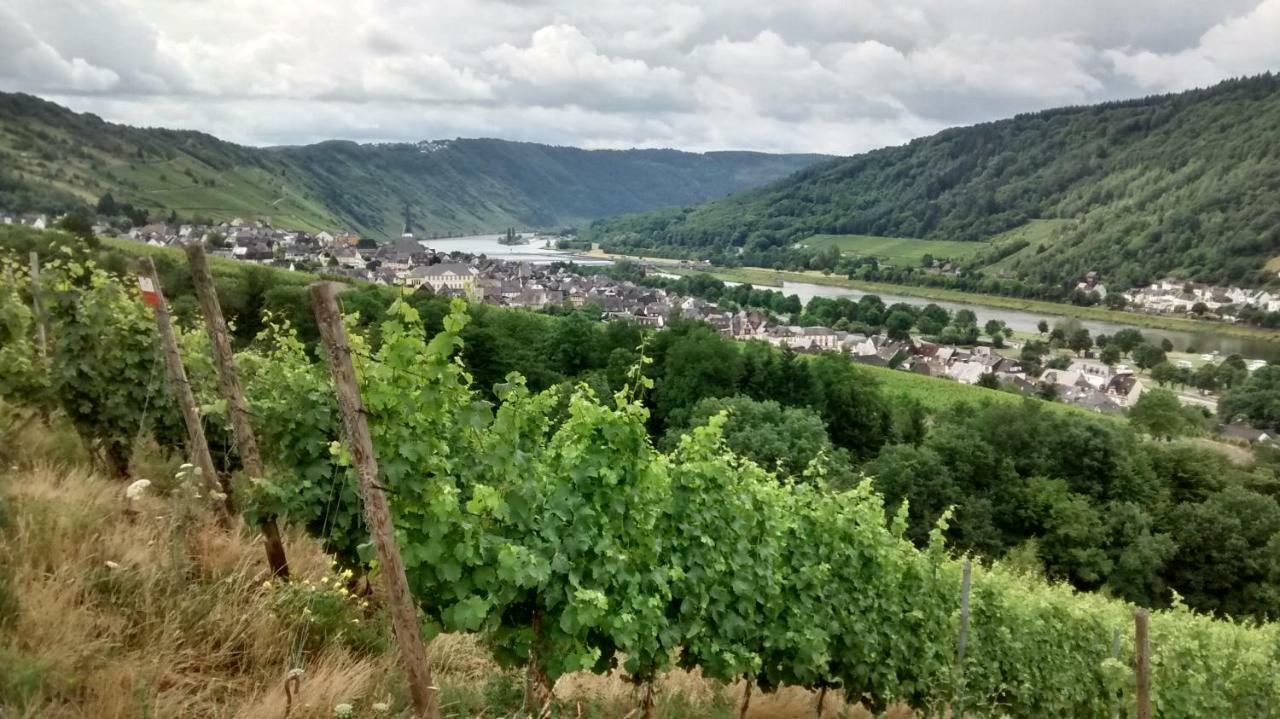 Holiday home Weingut Sauer-kettermann *