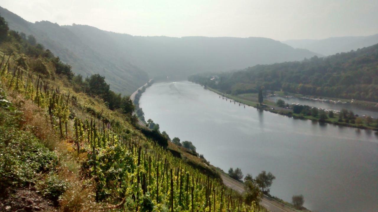 Weingut Sauer-kettermann