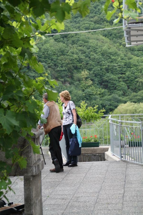 Weingut Sauer-kettermann